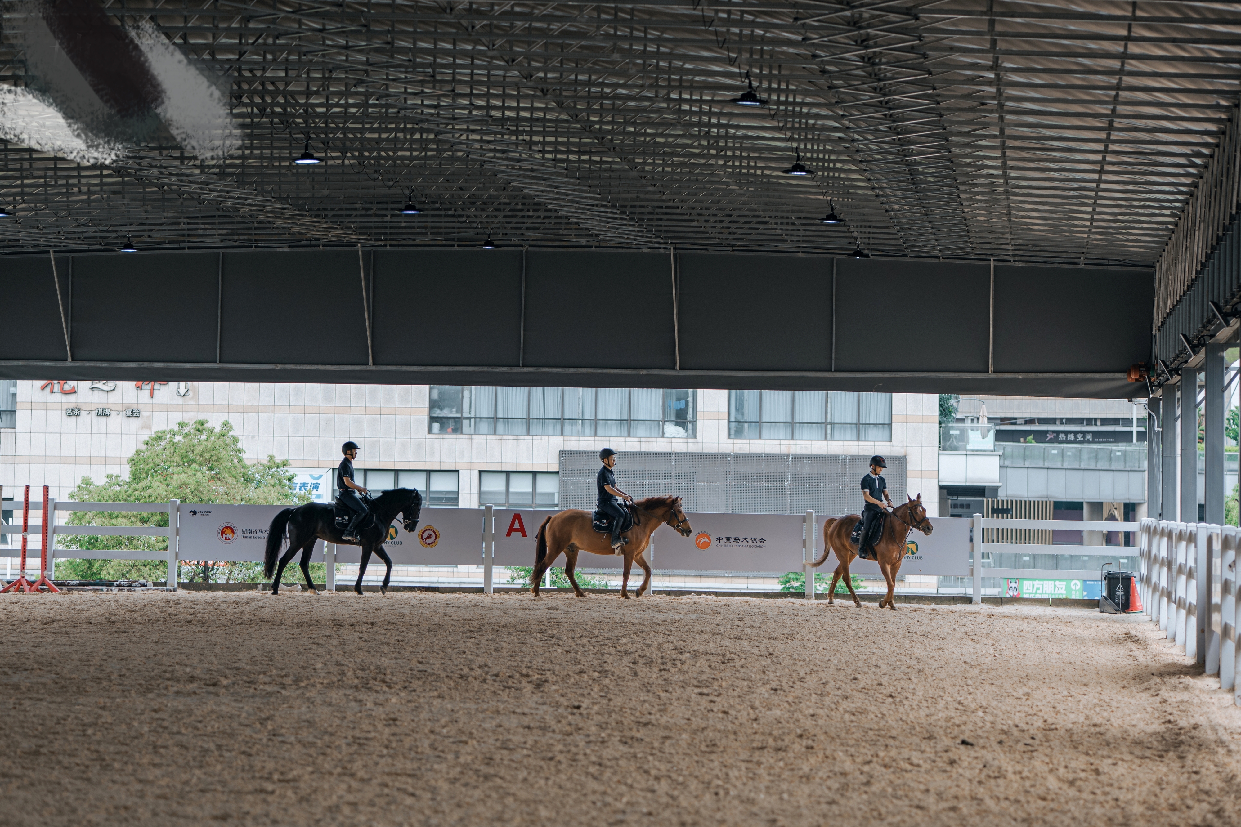 骑乐马术(长沙马场俱乐部)