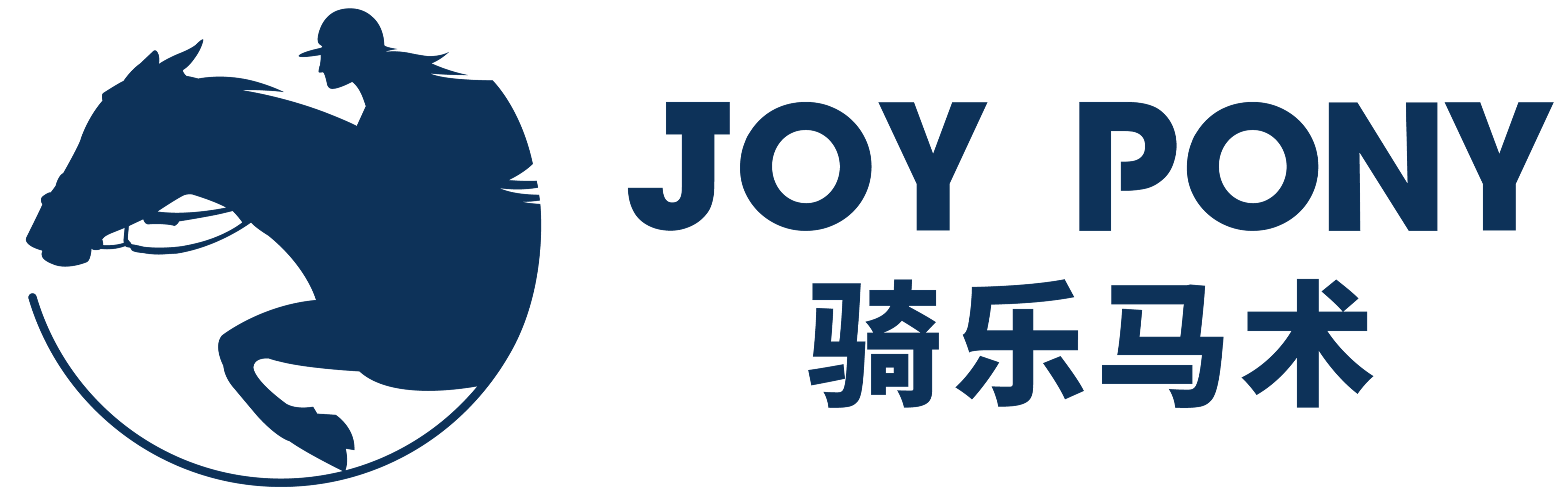 骑乐马术